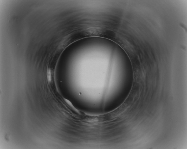 X0000097900075200803141404