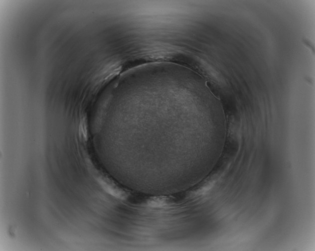 X0000097900076200803141404