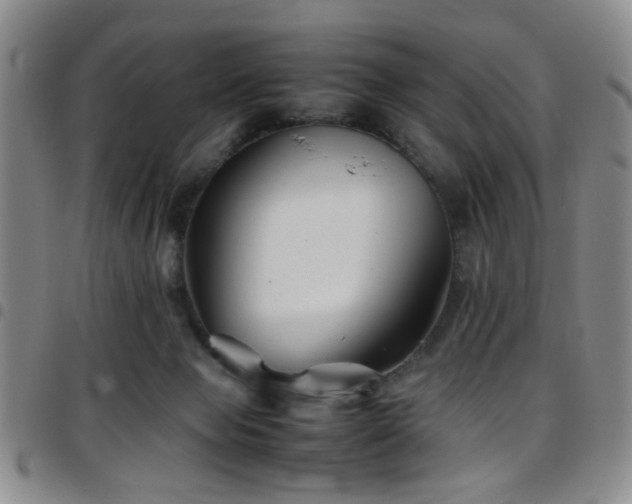 X0000097900077200803141404