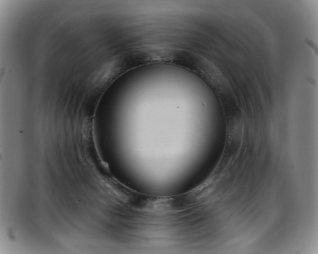 X0000097900078200803141404