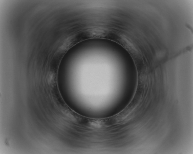 X0000097900079200803141404