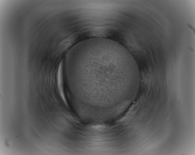 X0000097900080200803141404