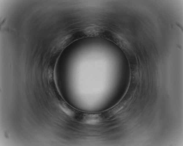 X0000097900081200803141404