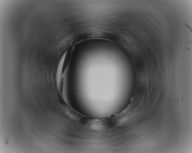 X0000097900082200803141404