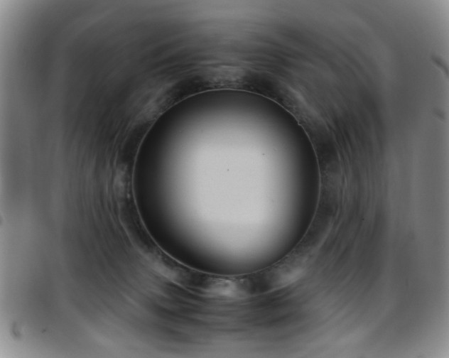 X0000097900083200803141404