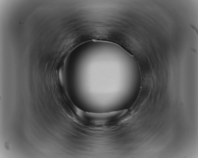 X0000097900084200803141404