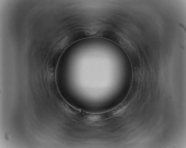 X0000097900085200803141404