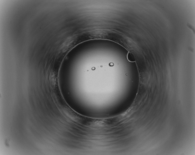 X0000097900086200803141404