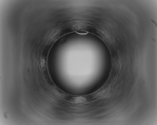 X0000097900087200803141404