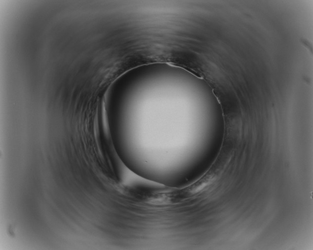 X0000097900088200803141404