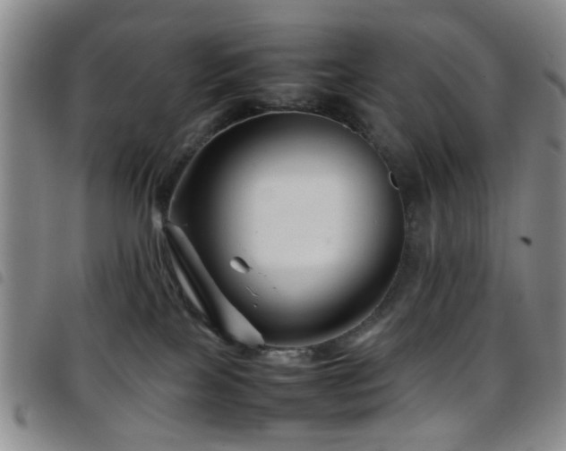 X0000097900089200803141404