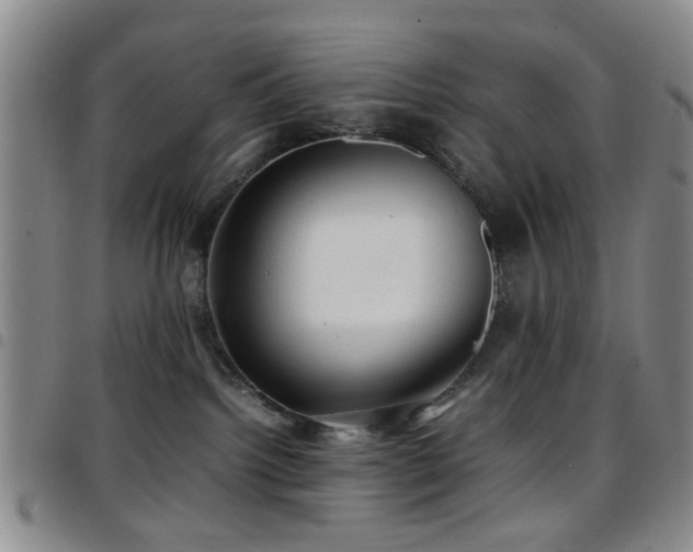 X0000097900092200803141404