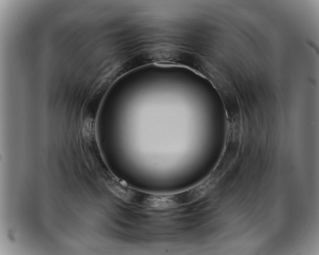 X0000097900093200803141404