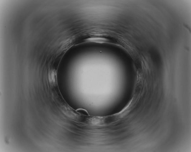 X0000097900094200803141404