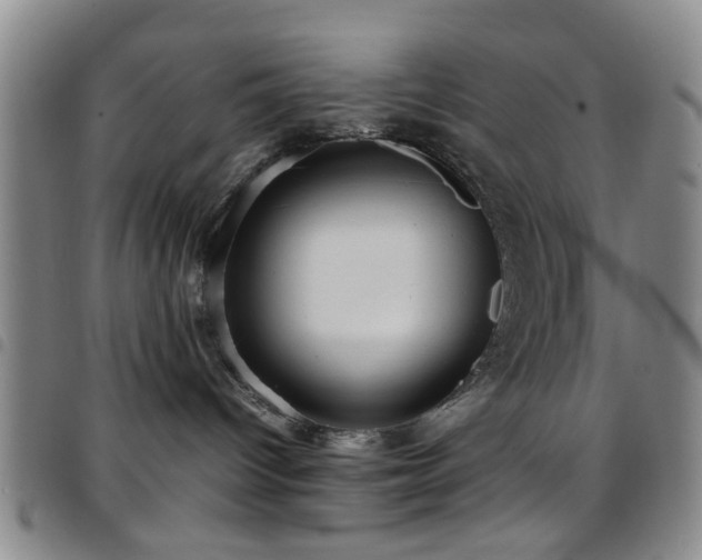 X0000097900096200803141404