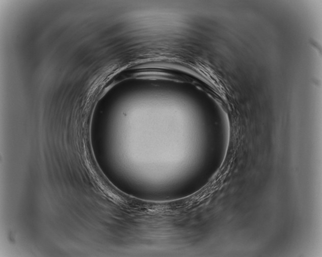 X0000097900097200803141403