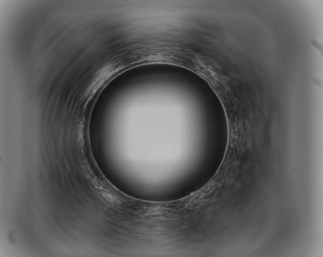 X0000097900098200803141403