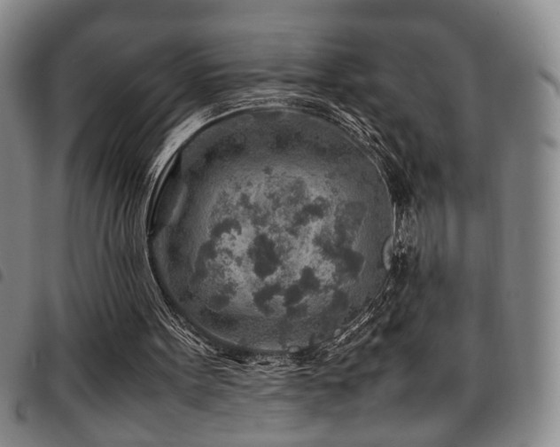 X0000097900099200803141403