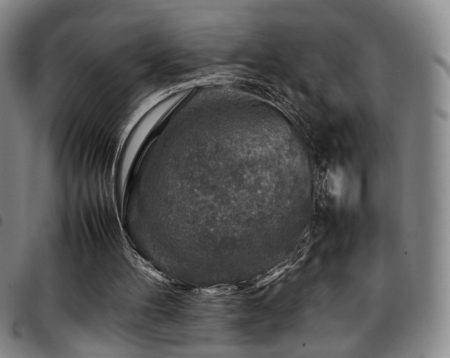 X0000097900100200803141403