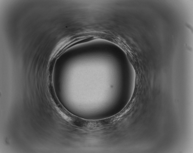 X0000097900101200803141403