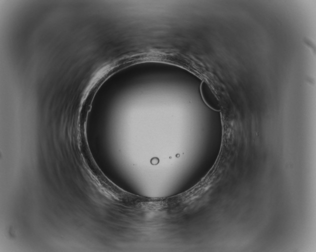 X0000097900102200803141403