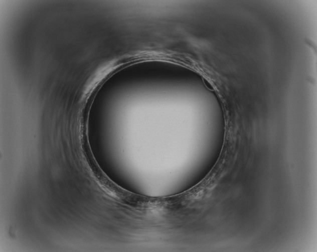 X0000097900103200803141403