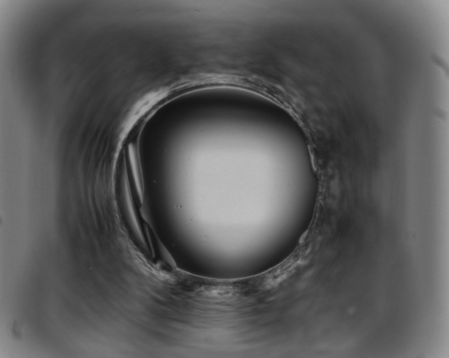 X0000097900104200803141403