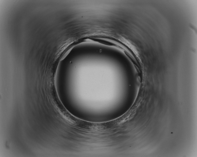 X0000097900105200803141403