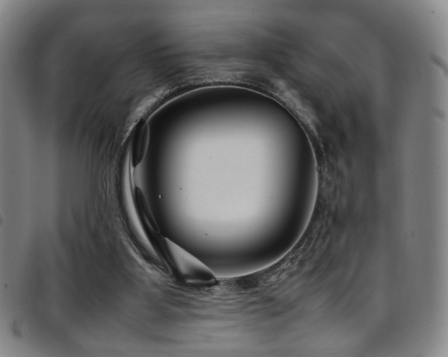 X0000097900107200803141403