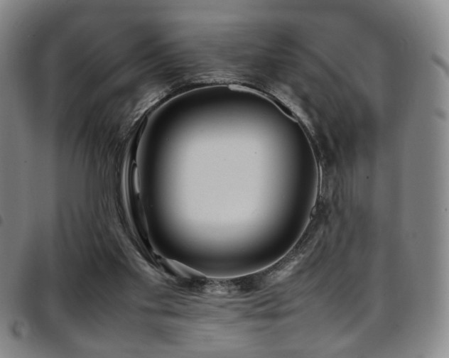 X0000097900109200803141403