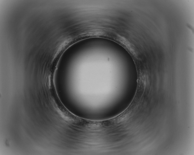 X0000097900110200803141403