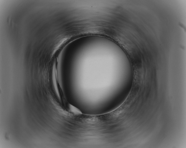 X0000097900112200803141403