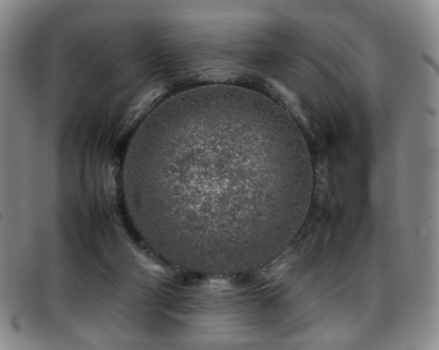 X0000097900114200803141403