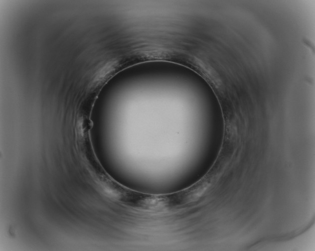 X0000097900117200803141403