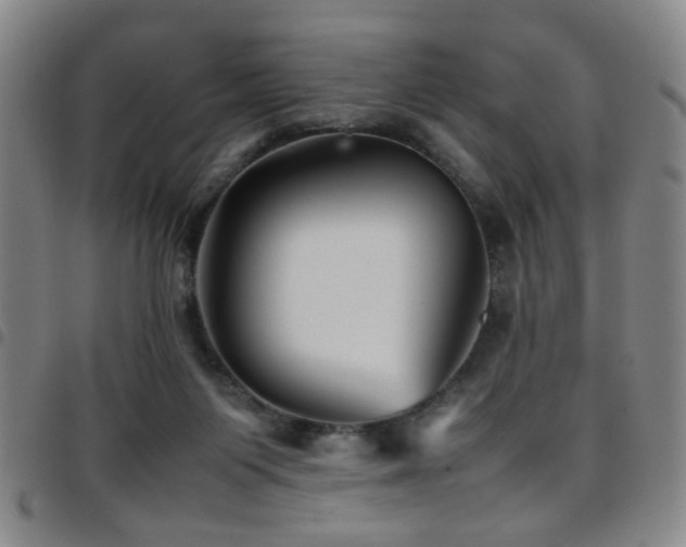 X0000097900119200803141403