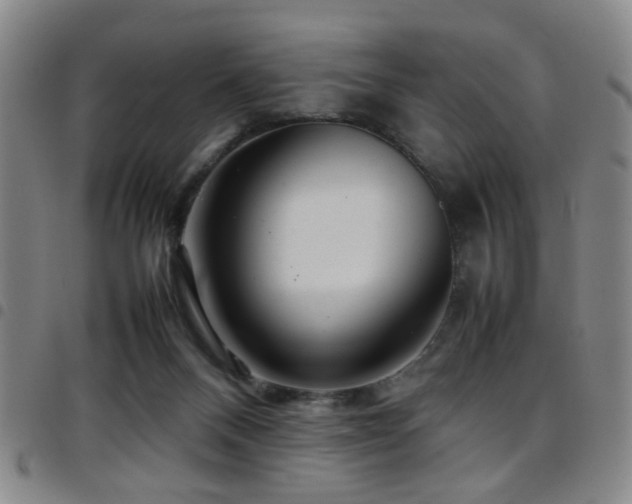 X0000097900120200803141403