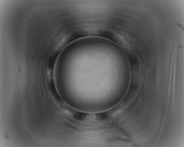 X0000097900123200803141403