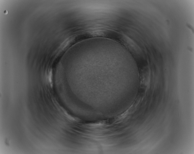 X0000097900124200803141403