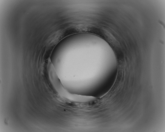 X0000097900125200803141403