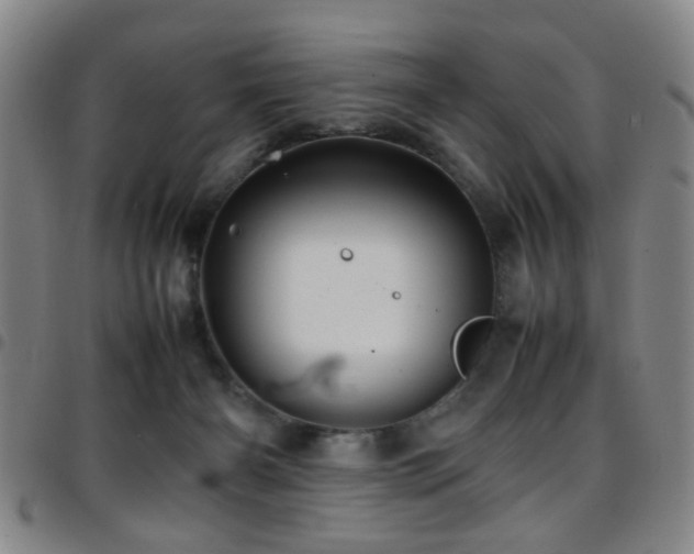 X0000097900126200803141403