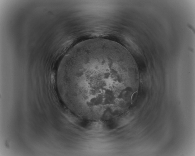 X0000097900127200803141403