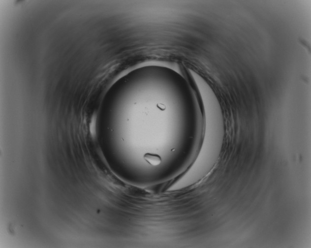 X0000097900128200803141403