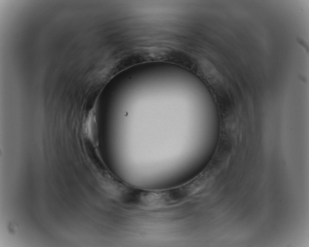 X0000097900129200803141403