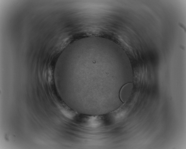 X0000097900130200803141403