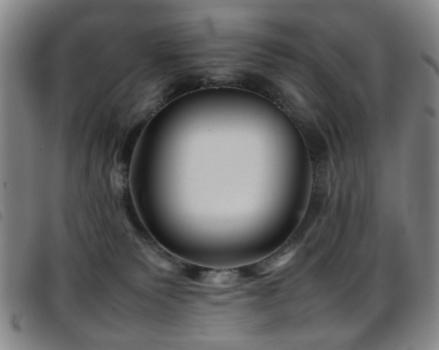 X0000097900135200803141403