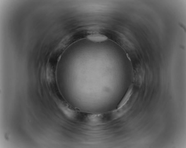 X0000097900136200803141403