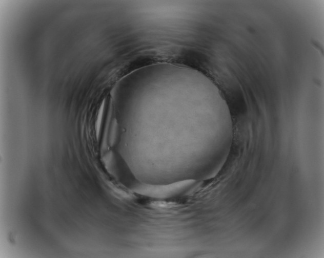 X0000097900137200803141403