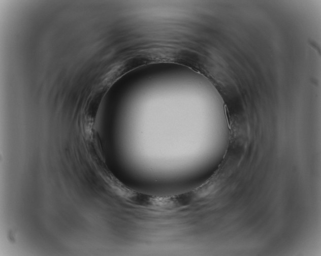 X0000097900141200803141403