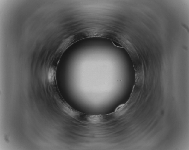 X0000097900142200803141403