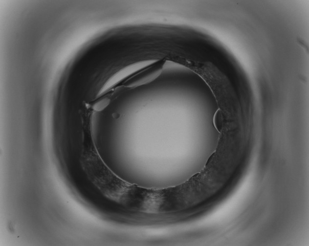 X0000097900143200803141403